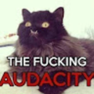 Meet your Posher, Evie